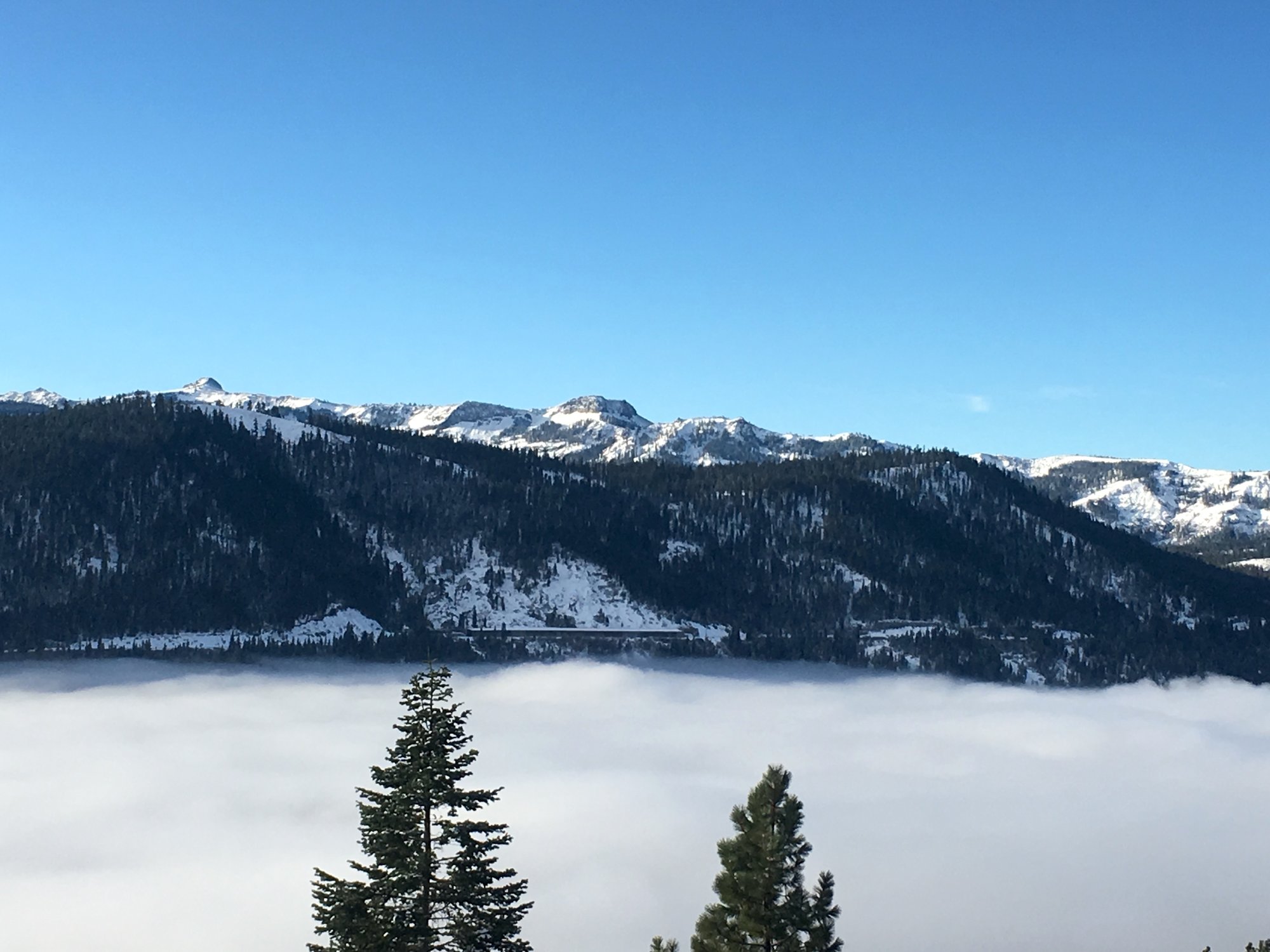 Tahoe Donner News